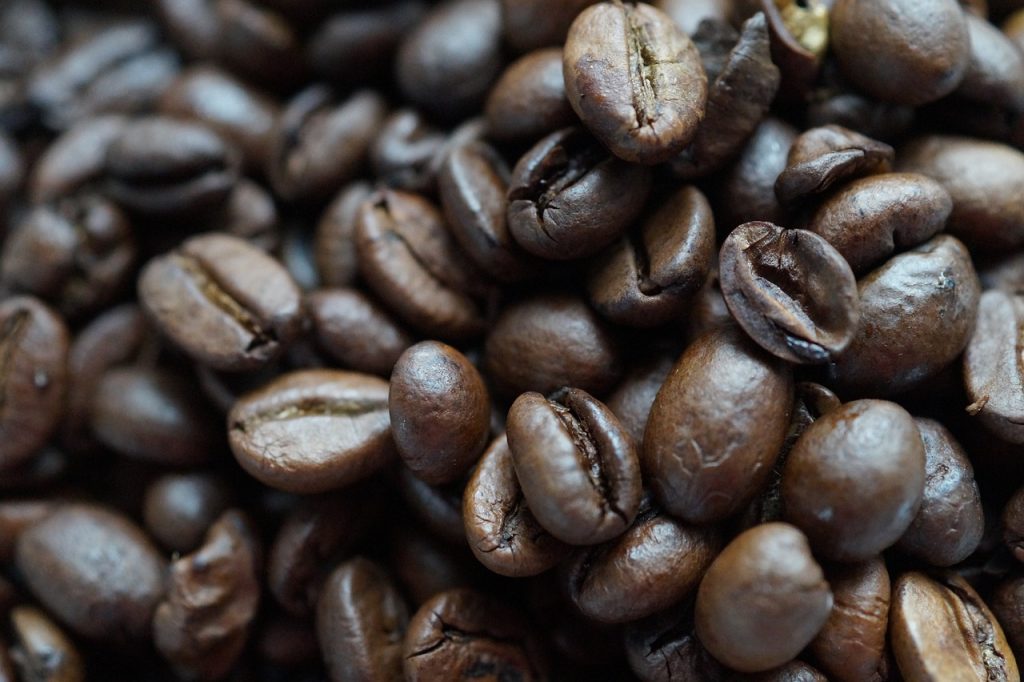 What Is The Difference Between Arabica And Robusta Coffee Beans?